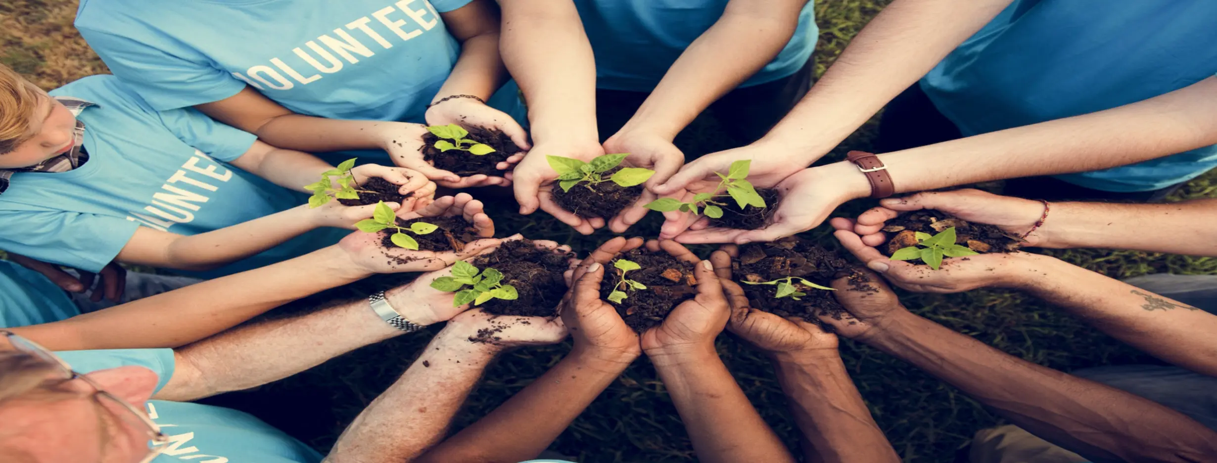 Image for Community Volunteering